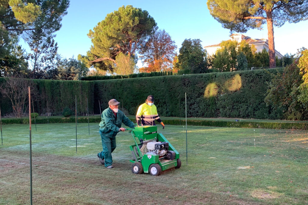 Servicio de mantenimiento de jardines en Madrid